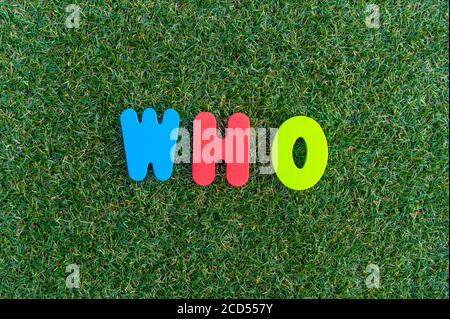 Capital letter "Who" word from colorful of wood on grass background. Stock Photo