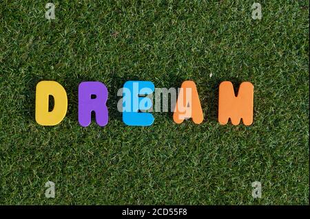 Capital letter 'Dream' word from colorful of wood on grass background. Stock Photo