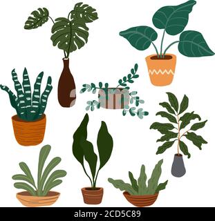 Set of houseplants on a white background in vector graphics. For the design of posters, wallpapers, covers for diaries, stickers Stock Vector