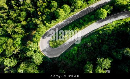 View of curve on road in forest Stock Photo