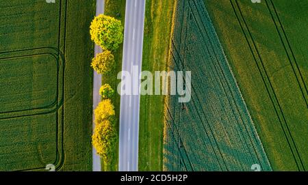Directly above view of road through green rural landscape