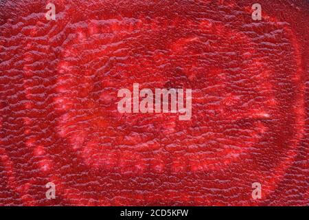 Top view beetroot slice close up. Vegetable background. Stock Photo