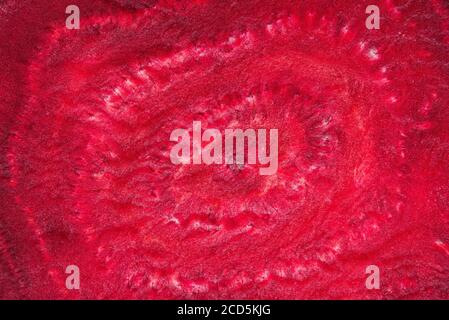 Top view beetroot slice close up. Vegetable background. Stock Photo