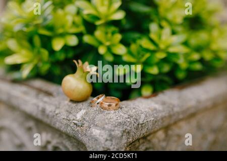Wedding rings of the bride and groom on a stone border against a background of green plants and a small pomegranate fruit. Stock Photo