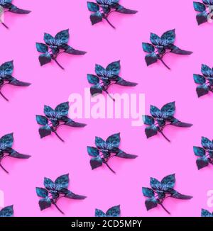 Seamless pattern of Fresh red basil herb leaves on pink background. Stock Photo