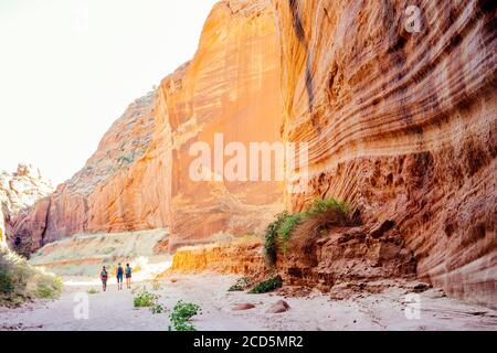 Vermillion Cliffs, Buckskin Gulch, Paria Canyon, Utah, USA Stock Photo