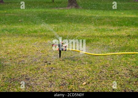 The portable sprinkler sprinkles abundantly water in the summer heat on the lawn to recover dried grass. Stock Photo