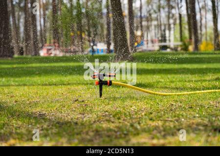 The portable sprinkler sprinkles abundantly water in the summer heat on the lawn on a bright sunny day. Stock Photo