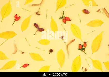 Pattern made of autumn fallen leaves, acorns Stock Photo