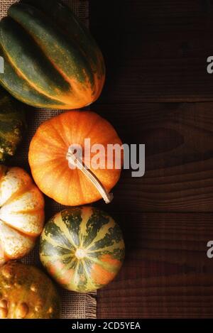 Flat lay image of Autumn Gourds and decorative pumpkins on dark wood table with warm side light. Stock Photo