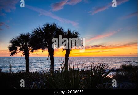 Silhouettes of palm trees on Caspersen Beach at sunset and Gulf of Mexico at sunset, Venice, Florida, USA Stock Photo