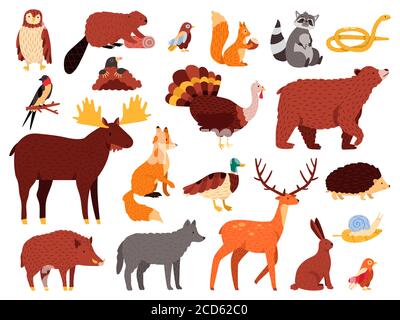 Cute animals. Cartoon forest animals, bear raccoon fox and cute owl, hand drawn mammals and birds, fall wood fauna vector illustration icons set Stock Vector