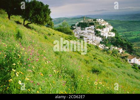 Town on hill and meadow on mountainside, Casares, Andalusia, Spain Stock Photo