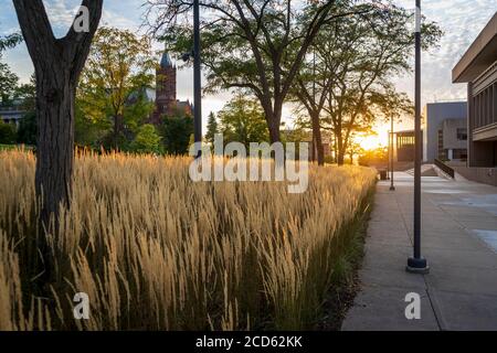 Crouse College is seen on a hill in the distance as a golden sun sets over the city of Syracuse, New York. Stock Photo