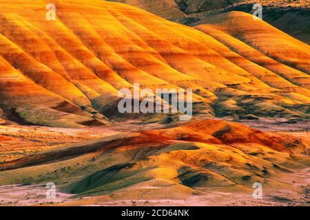 John Day Fossil Beds National Monument, Painted Hills Unit, Oregon, USA Stock Photo