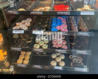 Donuts on display at Dunkin Donuts coffeehouse. Rotterdam, South Holland / Netherlands. Stock Photo