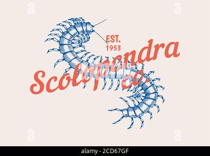 Insect logo. Vintage Scolopendra label for bar or tattoo studio. Emblems badges, t-shirt typography. Engraved Vector illustration. Stock Vector