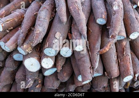 A pile of cassava root, manioc or yuca on a local vegetable market in Cusco, Peru. Stock Photo