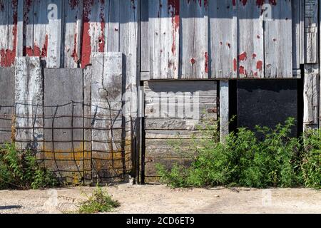 Exterior wood siding on a rustic late 19th Century wooden barn with weathered and worn red peeling paint and scrub foliage Stock Photo