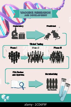 Vaccine research and development infographic Stock Vector Image & Art ...