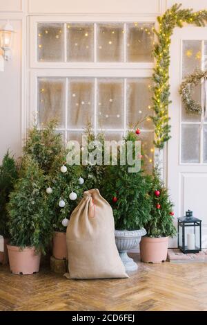 Bag with gifts, Christmas trees near the entrance doors of a private house decorated for the New Year Stock Photo