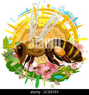 A bee flies and collects nectar from flowers. Wax honeycomb with honey streaks. Art. Isolated vector on white background. Bees inside the hive. Sun an Stock Vector
