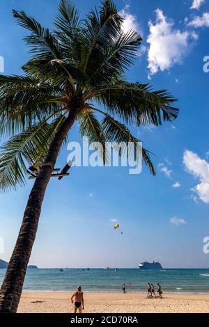 Palm tree on Patong Beach, Phuket, Thailand Stock Photo