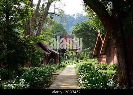 Mutiara Resort. Taman Negara. Malaysia Stock Photo