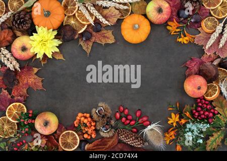 Autumn nature study background border composition with food, flora and fauna on lokta background. Harvest festival theme. Top view. Stock Photo