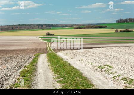 Long country road through fields, forest and sky Stock Photo