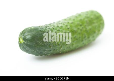 Raw cucumber isolate on white background Stock Photo