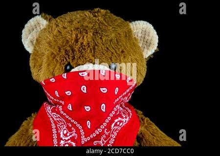 Brown teddy bear wearing bandana on face isolated on black Stock Photo