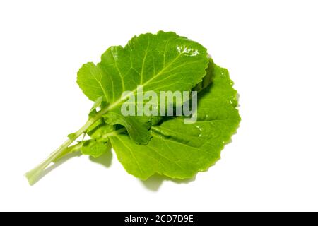 It is a kind of leaf vegetable for ssam. Ssam, one of the Korean dishes, means eating meat, rice, soybean paste, and other foods wrapped in leaf veget Stock Photo