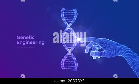 Hand touching DNA sequence molecules structure mesh. Wireframe DNA code editable template. Genetic engineering. Medical research. Science and Stock Vector