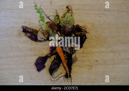 Freshly picked carrot and baby beetroot on a chopping board Stock Photo