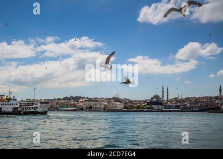 ISTANBUL / TURKEY - 07.17.2020: A covey of seagulls flying over the Golden Horn (Halic), ferries, boats, Beyazit Tower and the Yeni Mosque in the back Stock Photo