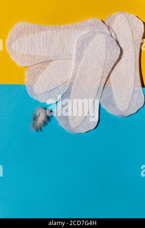Panty liner with feather, chamomile flowers on bright background. Menstruation and women everyday hygiene concept. Sanitary pads and daisy flower Stock Photo