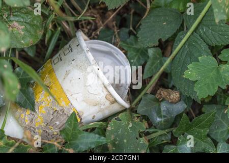 Unknown brand of takeaway paper drinks cup (rotting) with plastic lid, on the side of a country road. Concept of takeaway litter, fast food rubbish. Stock Photo