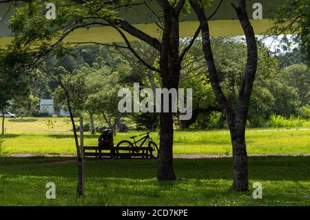 A young man sitting in the shade of the park playing with his cell phone. Beside you, the bicycle that is your means of transport. Urban scene and the Stock Photo