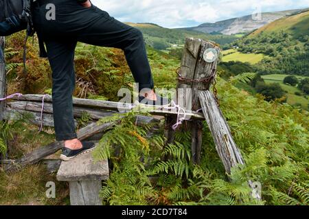 close up of man's legs and feet walking over a wooden style in woodland with ferns and moss Stock Photo