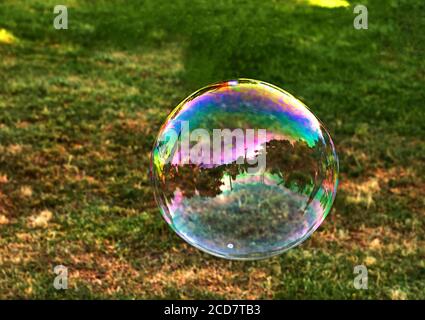 A soap bubble flies against the background of green grass. Bubbles of air on a sunny summer day outdoors. Stock Photo