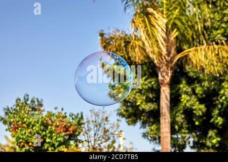 The soap bubble flies against the blue sky and palm trees. Bubbles of air on a sunny summer day outdoors. Stock Photo