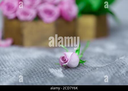 Purple rose on gray fluffy surface with pink roses bunch on background Stock Photo