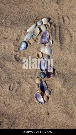 Number 1 laid out from seashells on the sand. Marine background. The symbol is one. Shells. Copy space. Stock Photo
