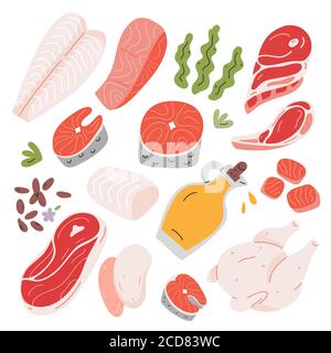 Cooking food ingredients, beef and lamb meat, salmon and white fish fillet ans steak, hand drawn vector illustration, isolated icons, flax seeds and Stock Vector