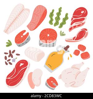 Cooking food ingredients, beef and lamb meat, salmon and white fish fillet ans steak, hand drawn vector illustration, isolated icons, flax seeds and Stock Vector