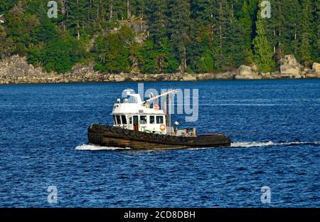 A working tug boat in Nanaimo harbor on Vancouver Island British Columbia Canada Stock Photo