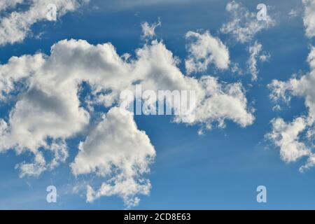 A horizontal image of a blue sky with white clouds in rural Alberta Canada Stock Photo