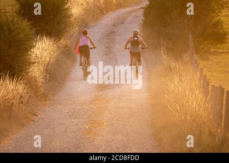 Mountain bikers on a chalk track heading for Cissbury Ring in the South Downs National Park, West Sussex, UK. Stock Photo