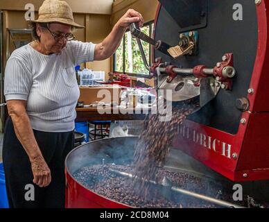 Freshly roasted coffee beans tumble, steaming, from the Diedrich roaster into the cooling tray while a coffee farmer watches the process near Paraíso, Costa Rica. Stock Photo
